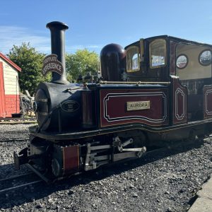 Advanced Footplate Experience